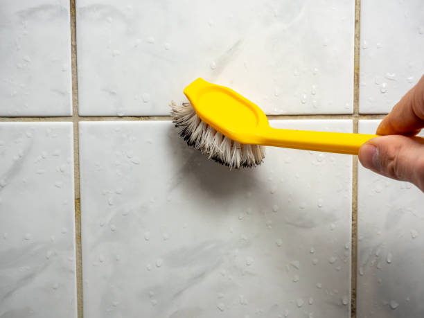 Best Best Mold Removal Companies  in Lakeside, OR