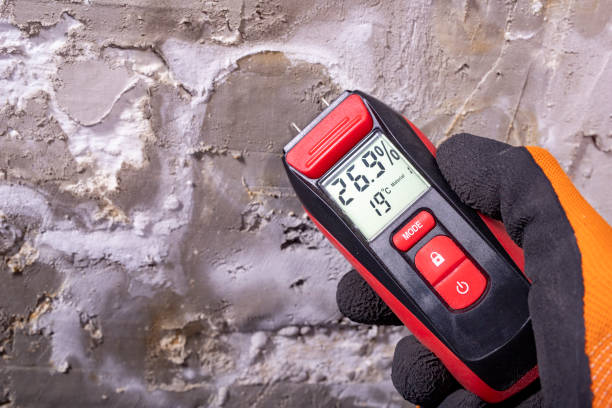 Mold Testing and Removal in Lakeside, OR