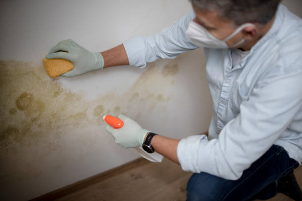 Best Emergency Mold Removal  in Lakeside, OR