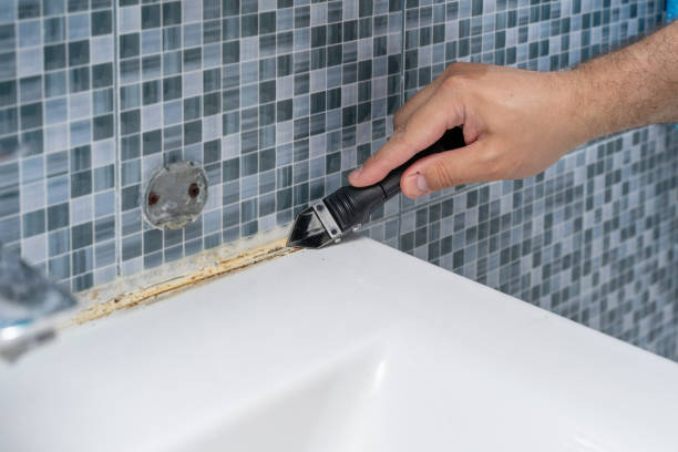 Best Attic Mold Removal  in Lakeside, OR